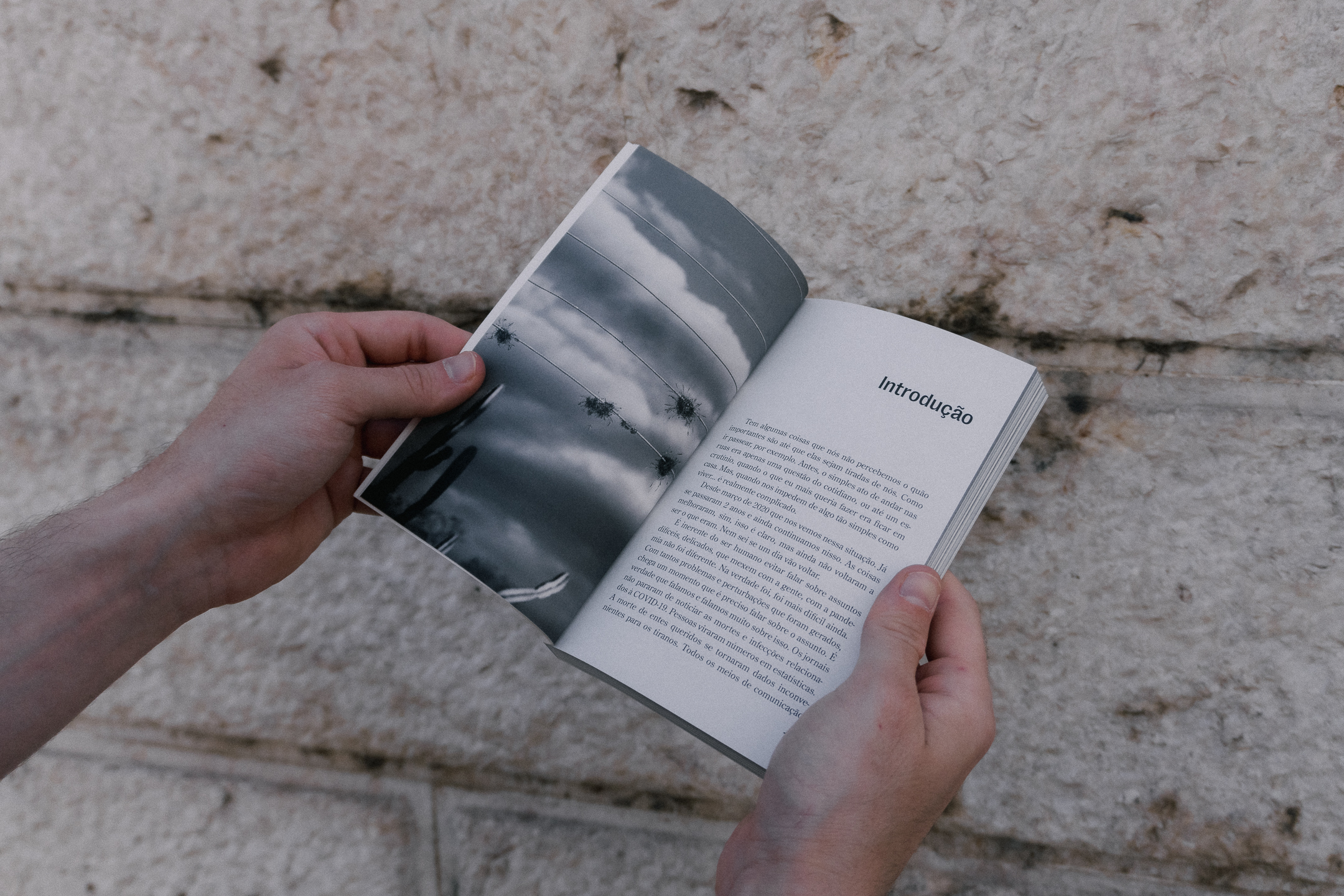 Elefante na Sala open to Nunca mais chapter by Yamna Dahia